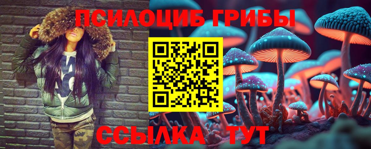 Псилоцибиновые грибы прущие грибы Новодвинск