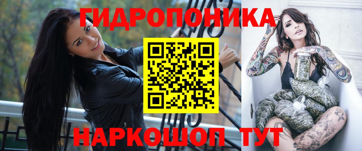 Каннабис OG Kush Новодвинск